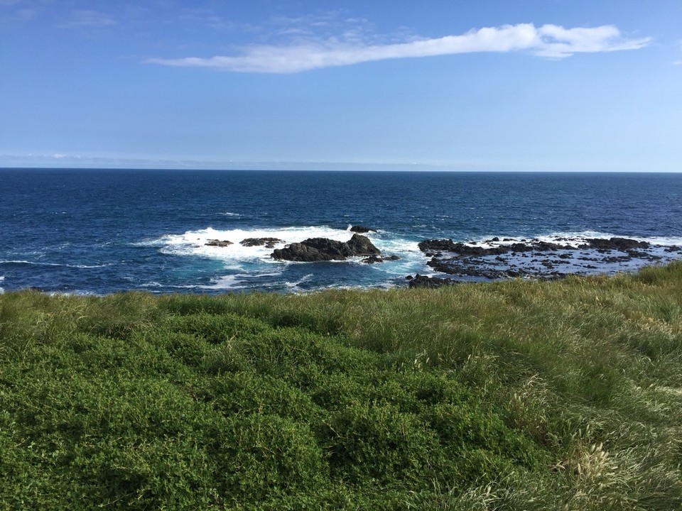  - Australia, Summerlands - Itt laknak a pingvinek