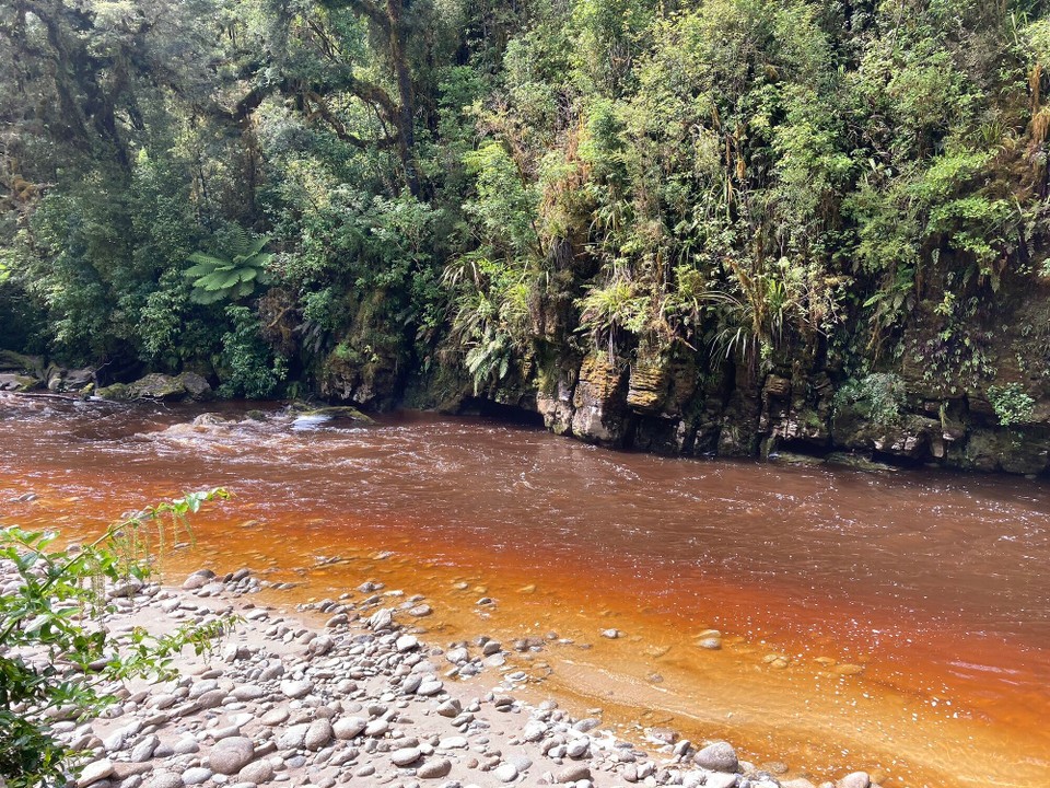 Neuseeland - Kahurangi National Park - 