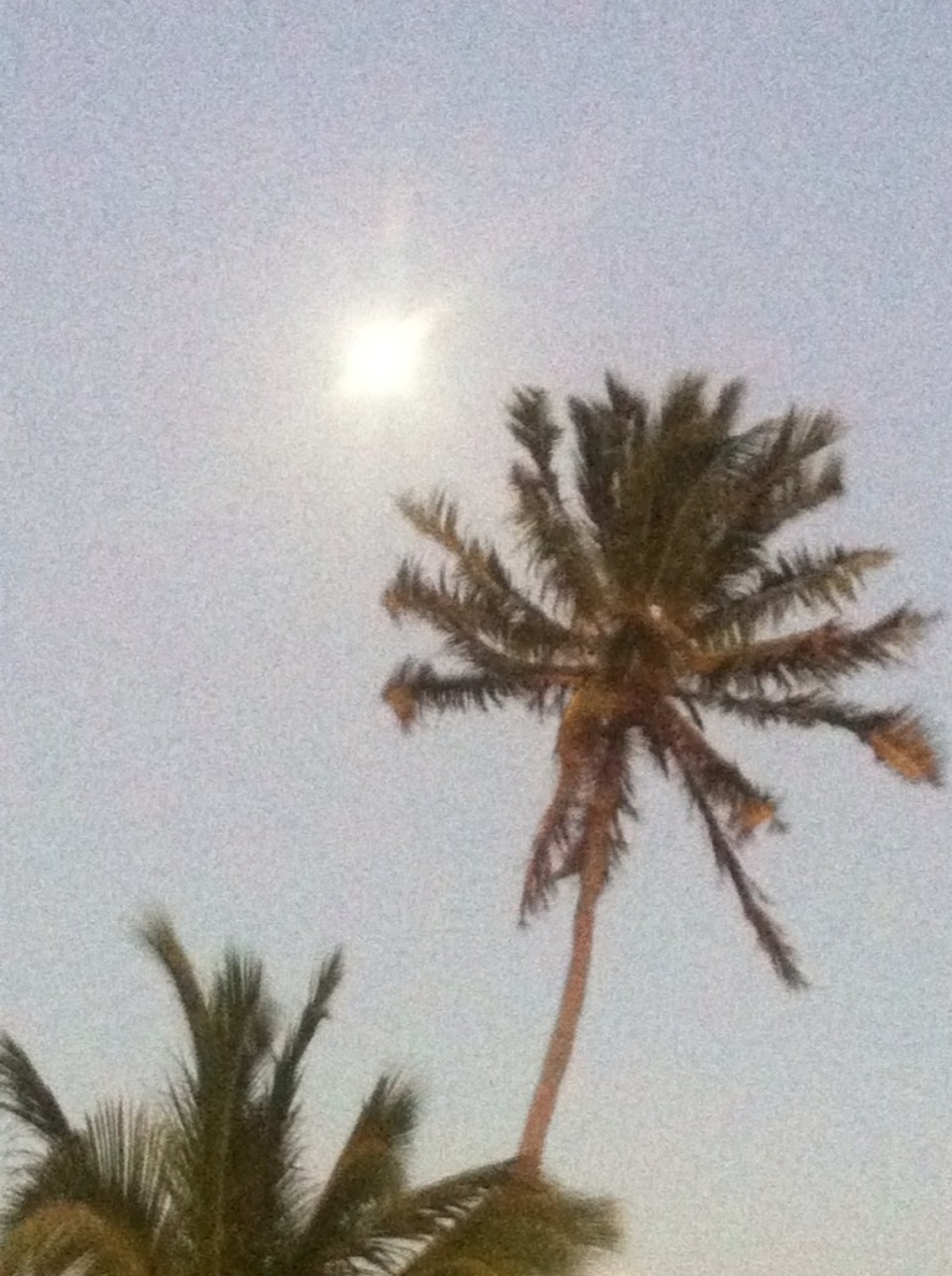 Egyesült Államok - Key West - 