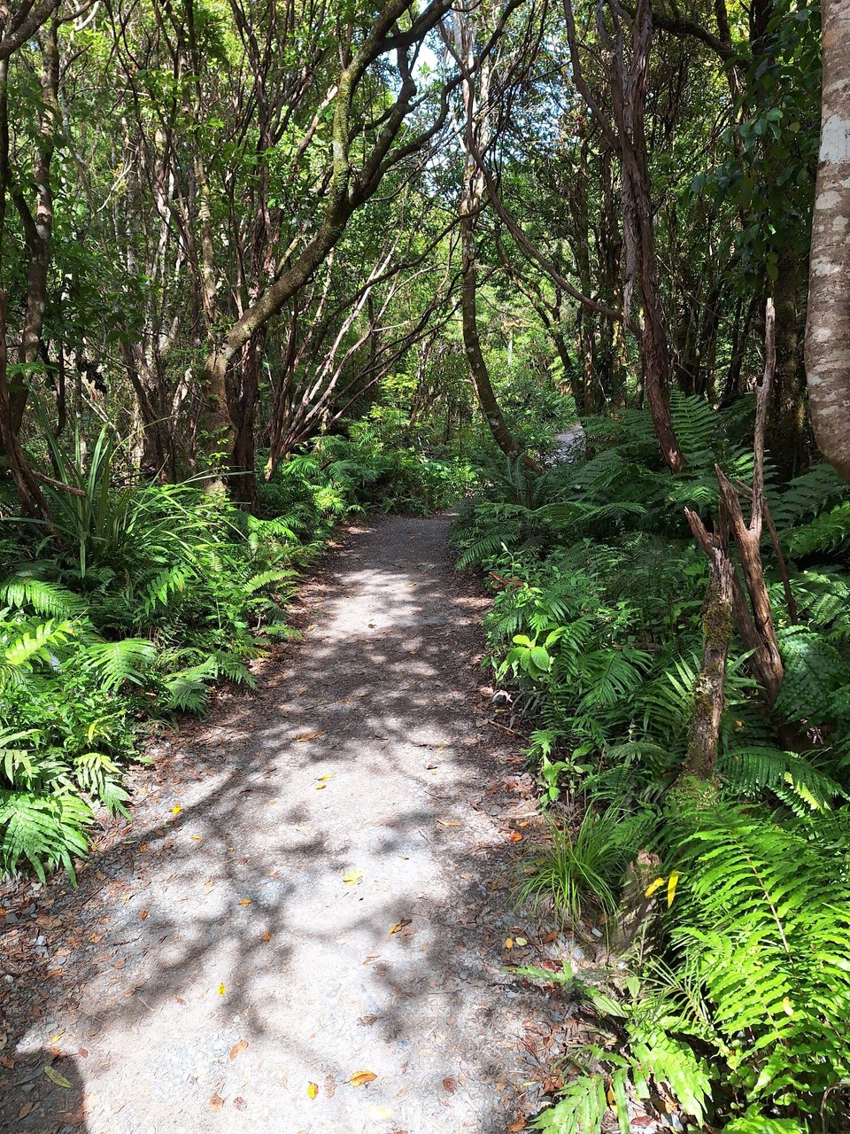 Neuseeland - Turangi - Wanderung...zu den 