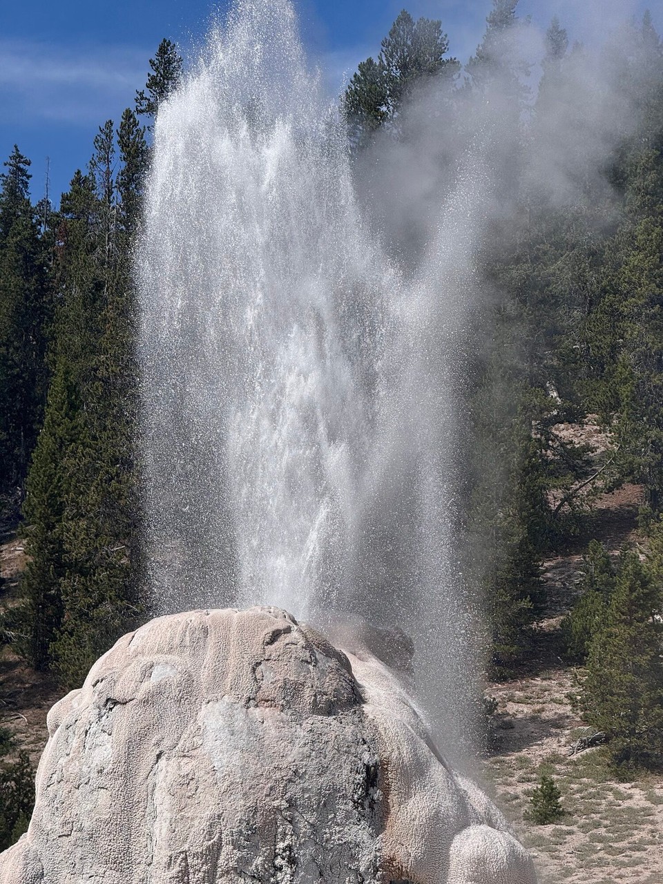 Vereinigte Staaten - Yellowstone National Park - 