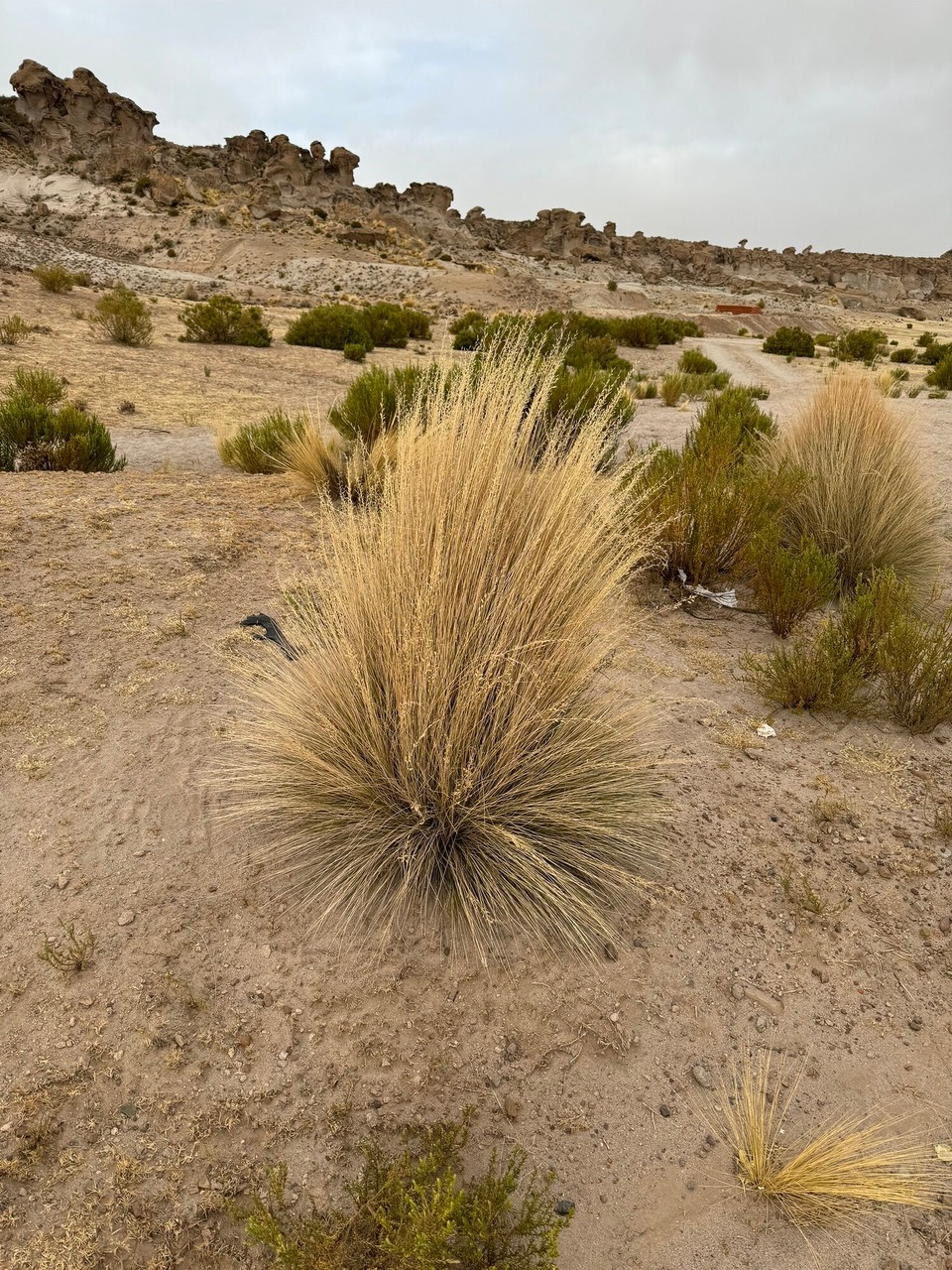 Bolivien - Salar de Uyuni - 