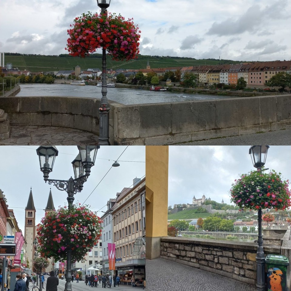 Deutschland - Würzburg - Blumen an allen Laternen