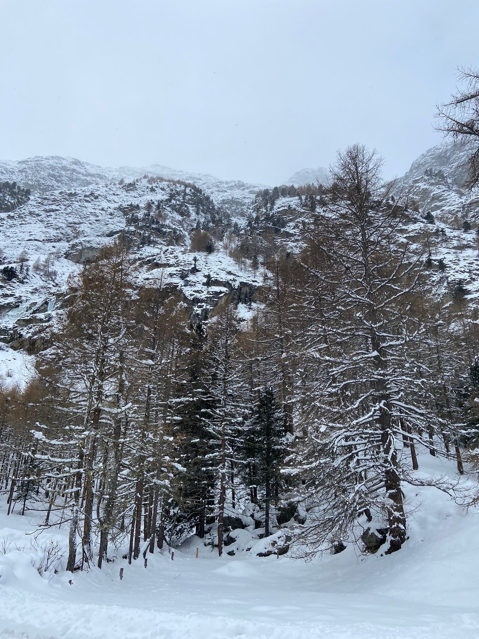 Schweiz - Pontresina - 