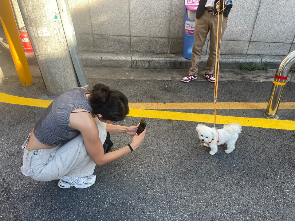 대한민국 - 서울특별시 - cutiees🥰