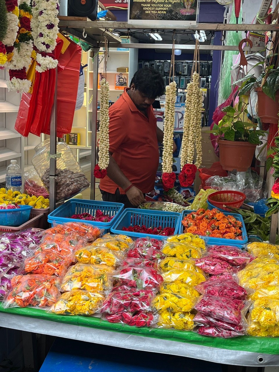 Singapur - Singapur - 