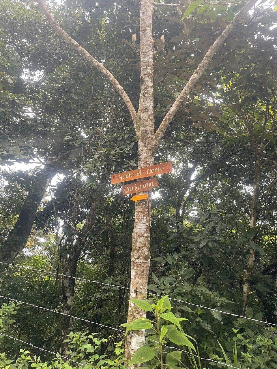 Panama - El Valle de Antón - Am Nachmittag sind wir zu einer empfohlenen Sonnenuntergangstour aufgebrochen 🌅 ⛰ 