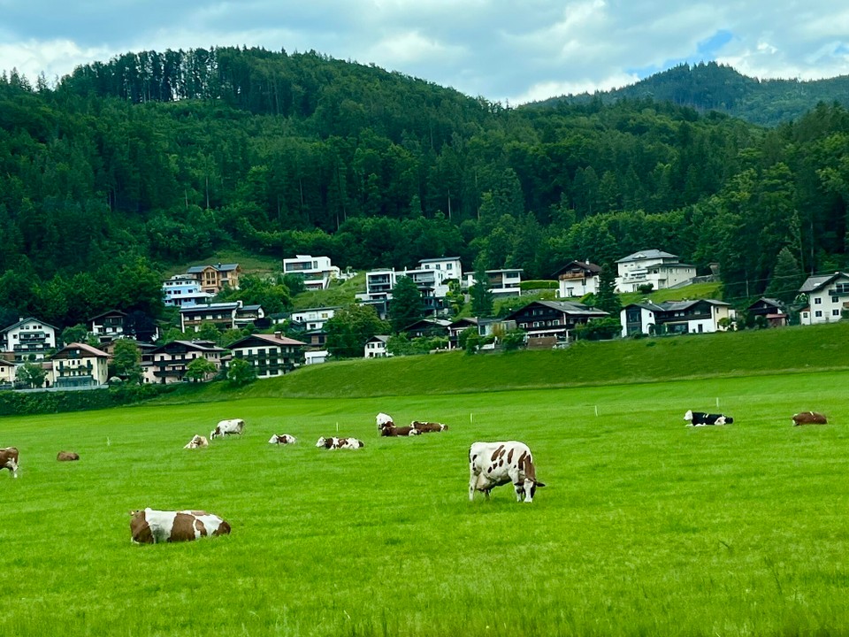 Österreich - Flachau - 
