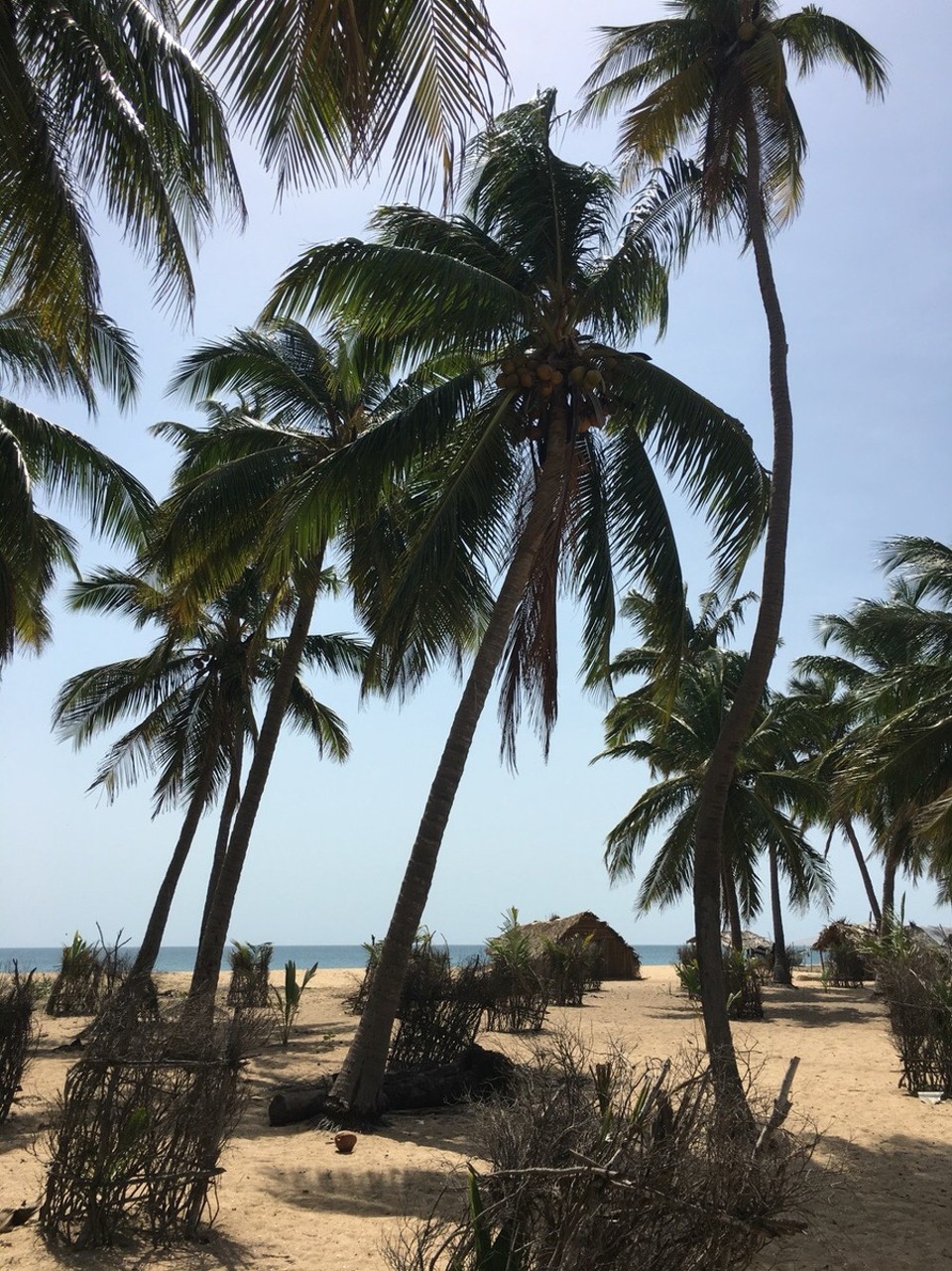 Sri Lanka -  - 