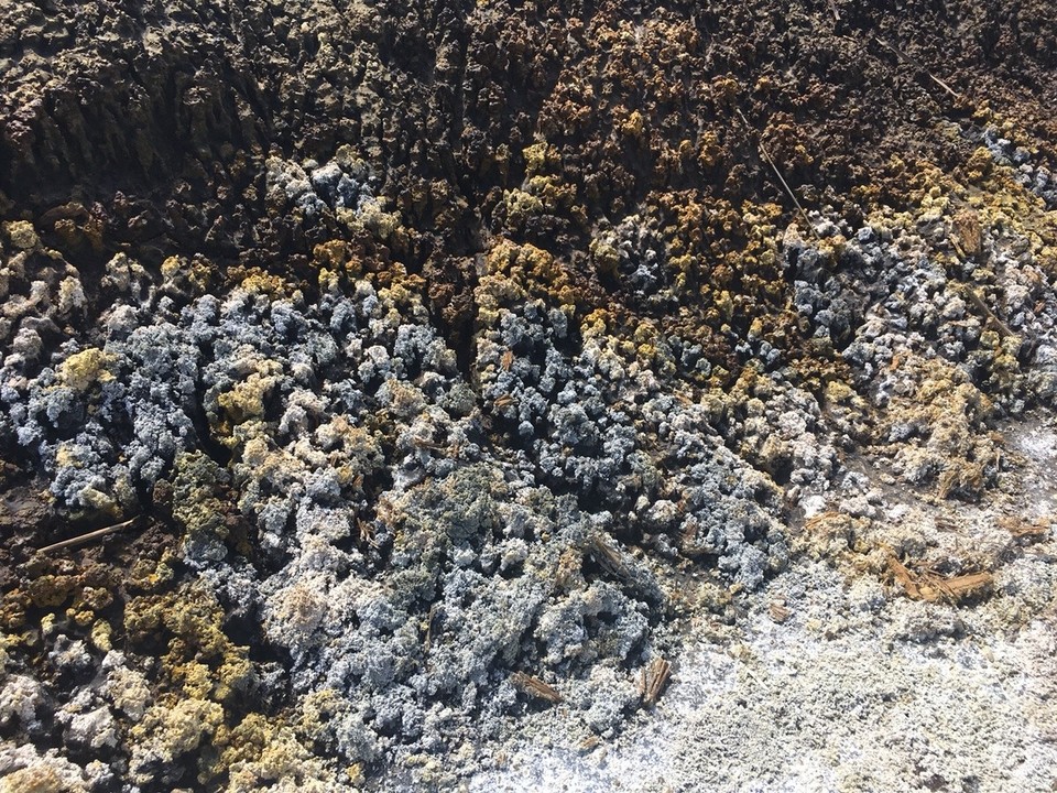 Tschechische Republik - Skalná - Die Kieselgurschicht ist mit Mineralsalzen gesättigt, die beim Trockenfallen der Nassstellen ausblühen.