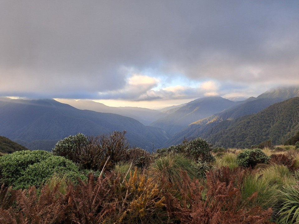 Neuseeland - Parawai Lodge - 