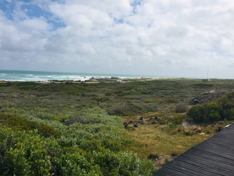 Südafrika -  - 