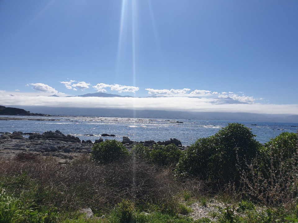 Neuseeland - Kaikoura - 