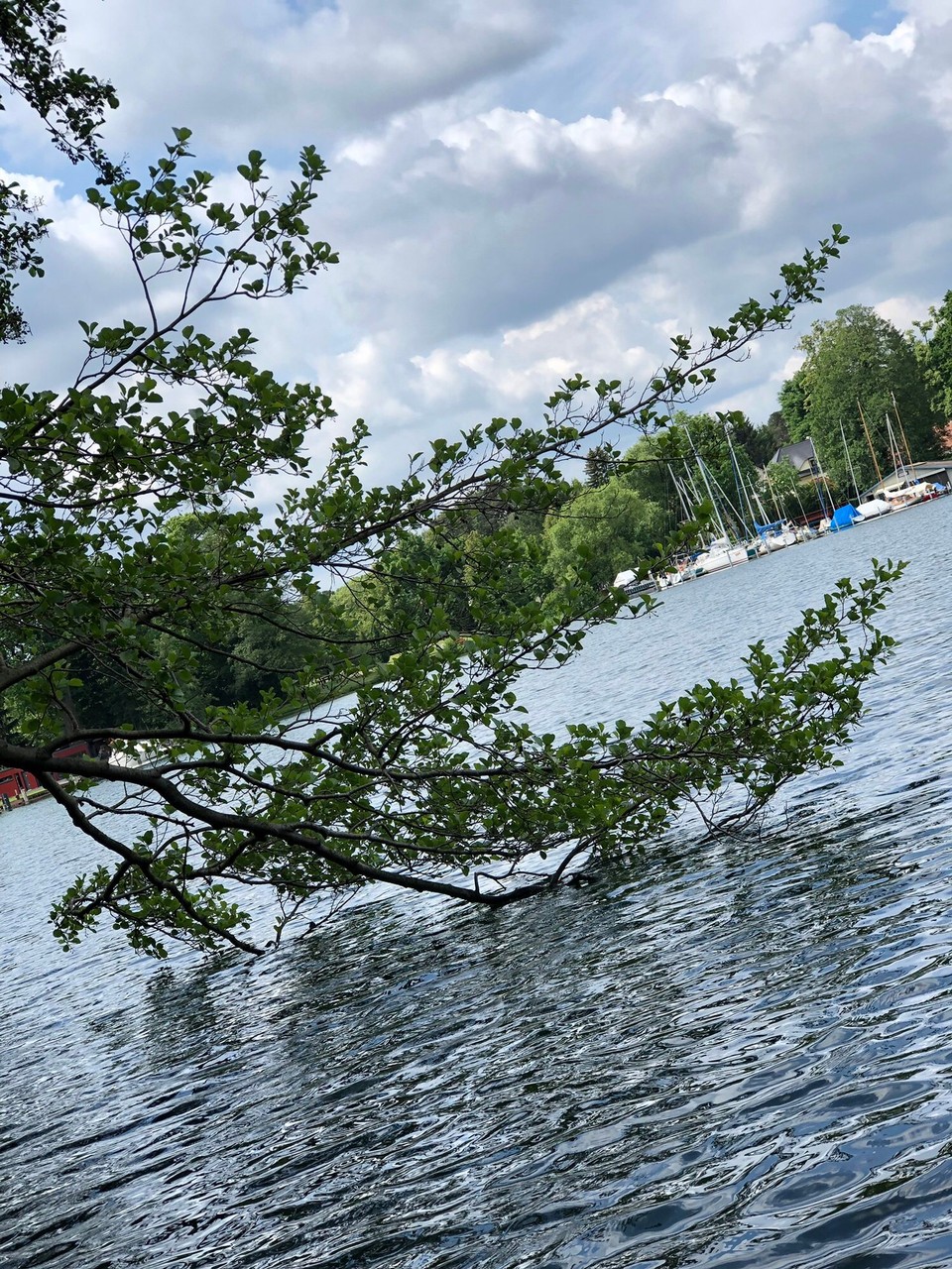Deutschland - Bad Saarow - 