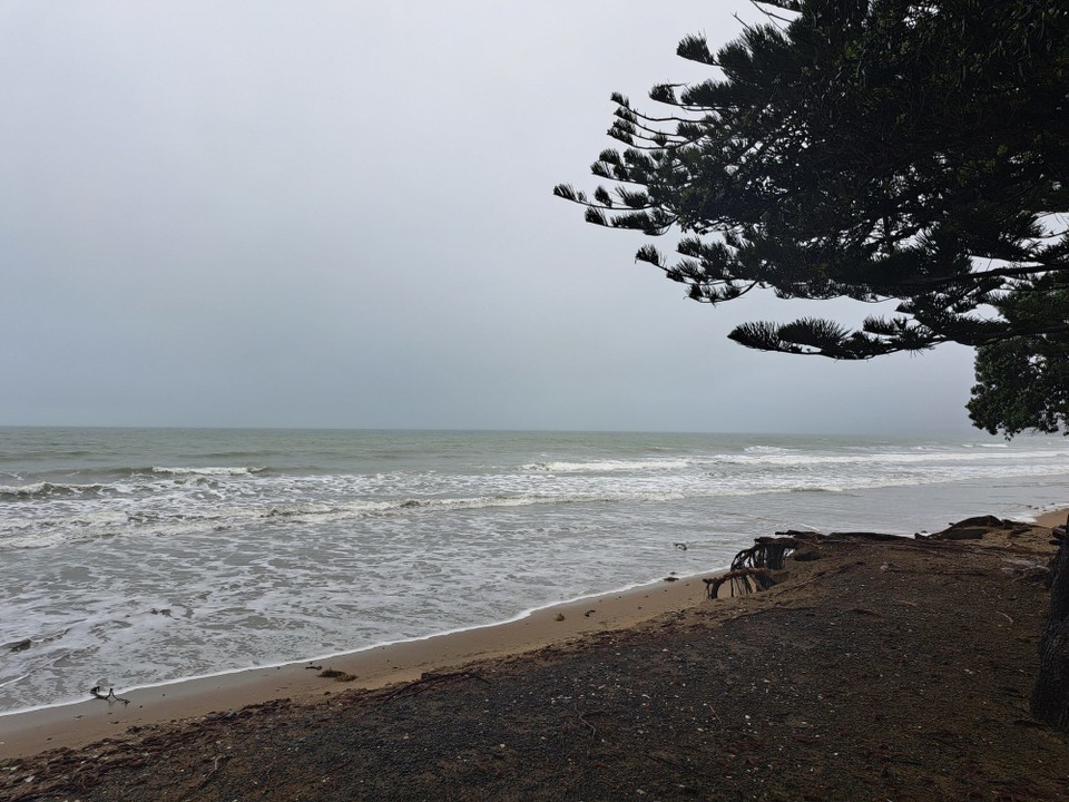 Neuseeland - Whangaparāoa - Wider dem Meer entlang 
