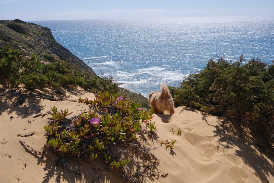 Portugal - Aljezur - 