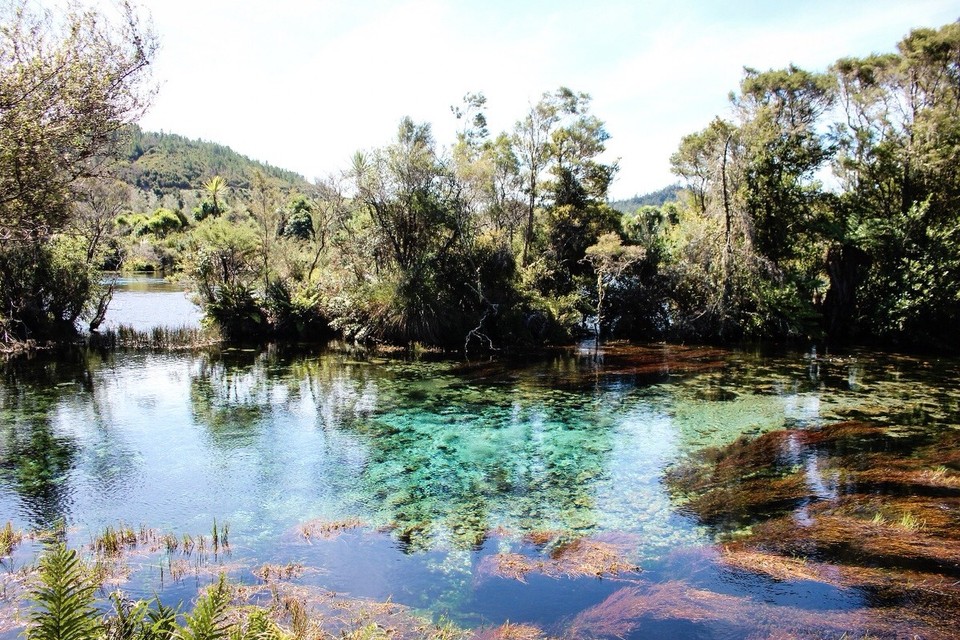 Neuseeland -  - Te Waikoropupu Springs
