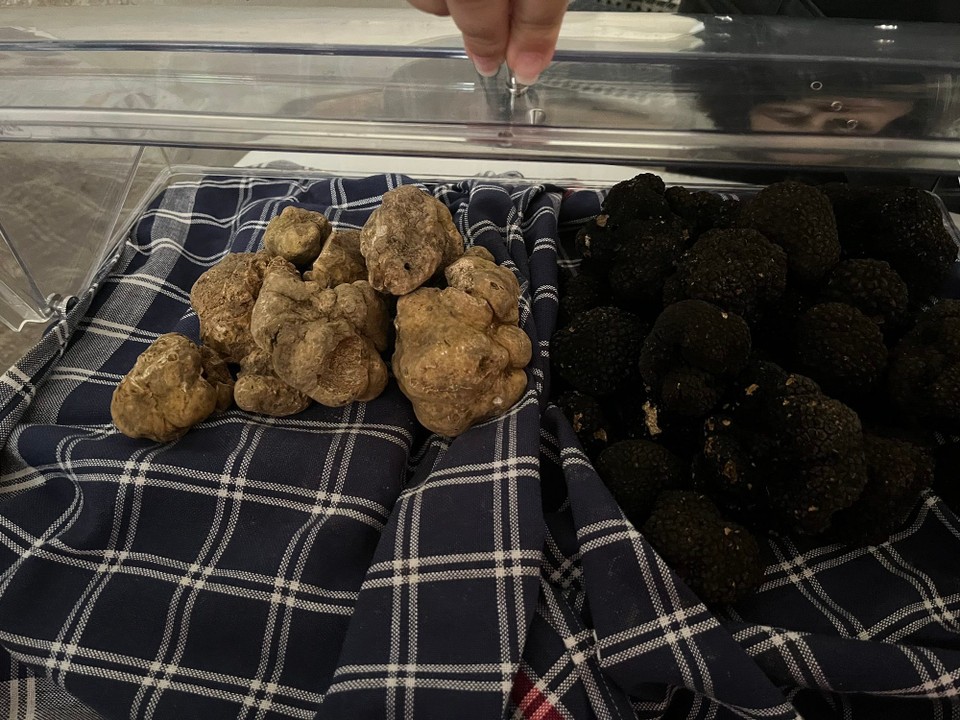 Kroatien - Grožnjan - Weise und schwarze Trüffel im Angebot bei Zigante