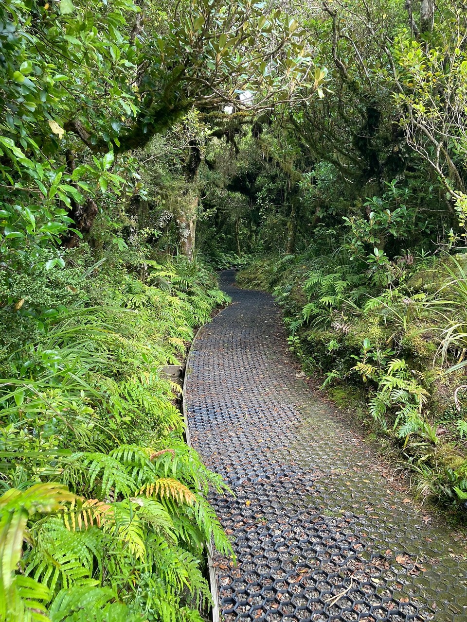 Neuseeland - Eltham - 