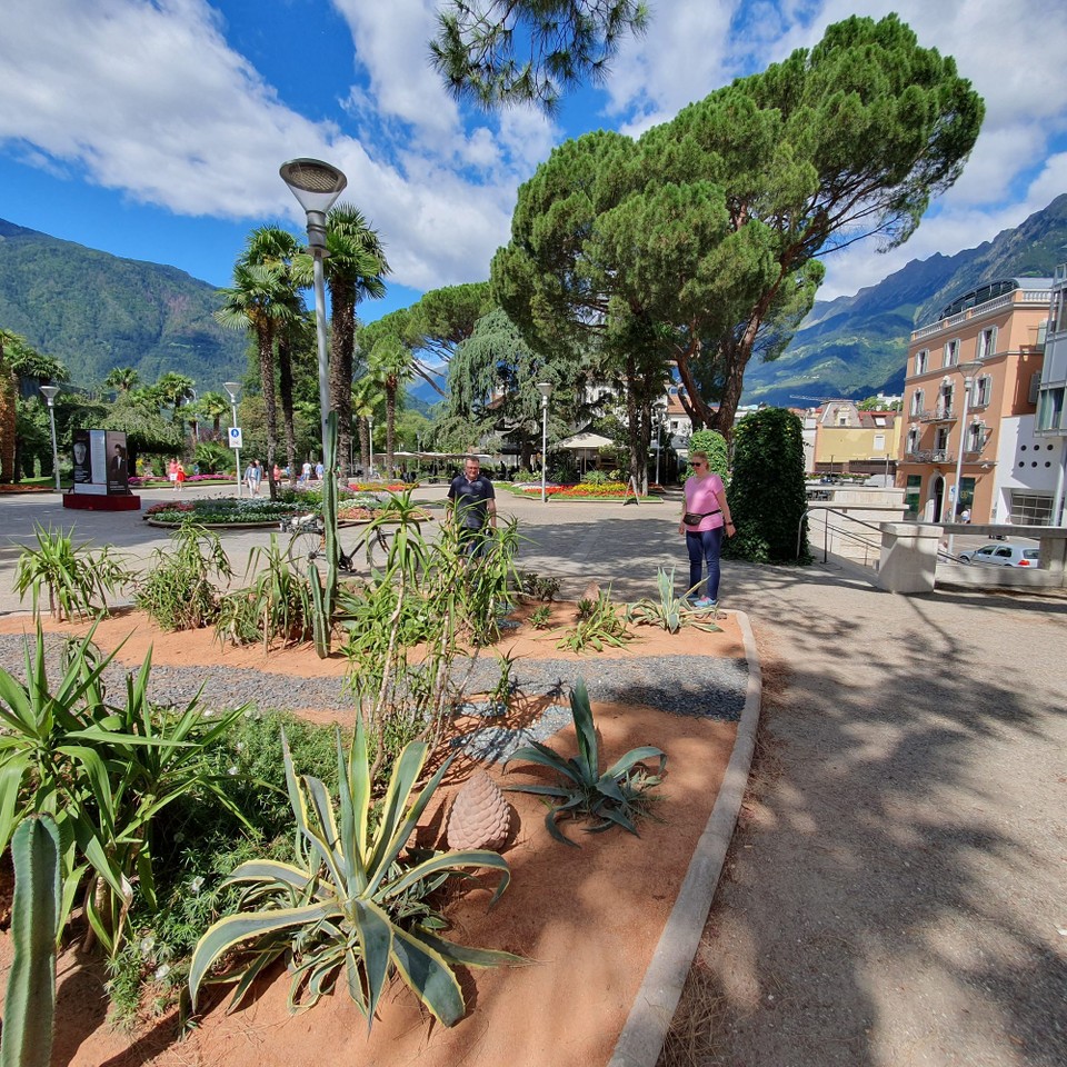 Italien - Meran - Ein Kakteengarten in Meran.