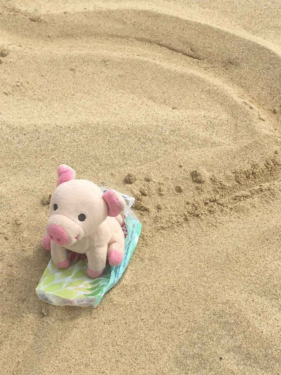 Neuseeland - Cape Reinga - geht ja ganz flott