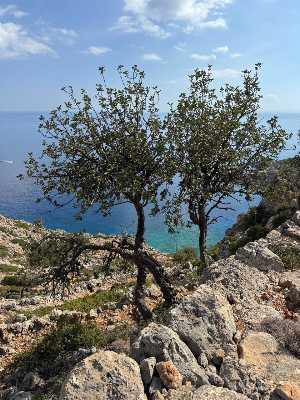 Griechenland - Anopoli - 