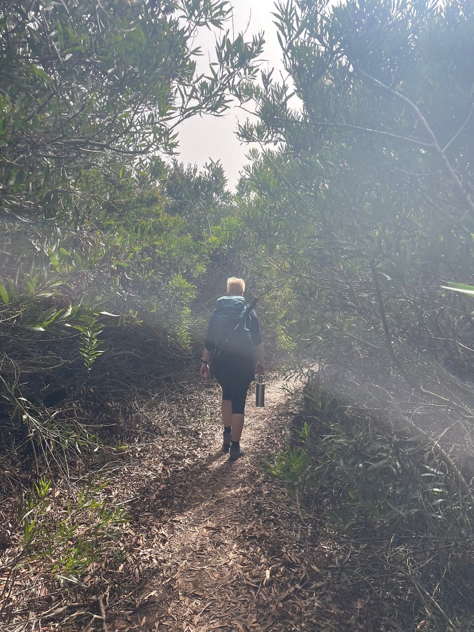 Portugal - Longueira-Almograve - 