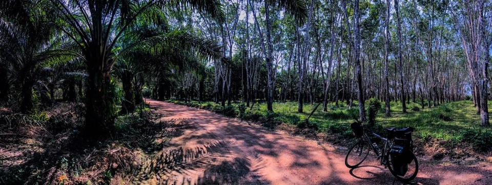 Thailand - Amphoe Sikao - 