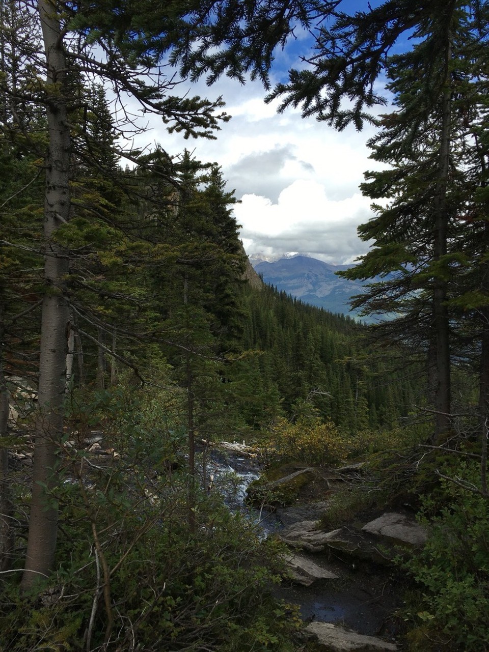 Kanada -  - Und da geht es wieder auf dem Weg nach unten 