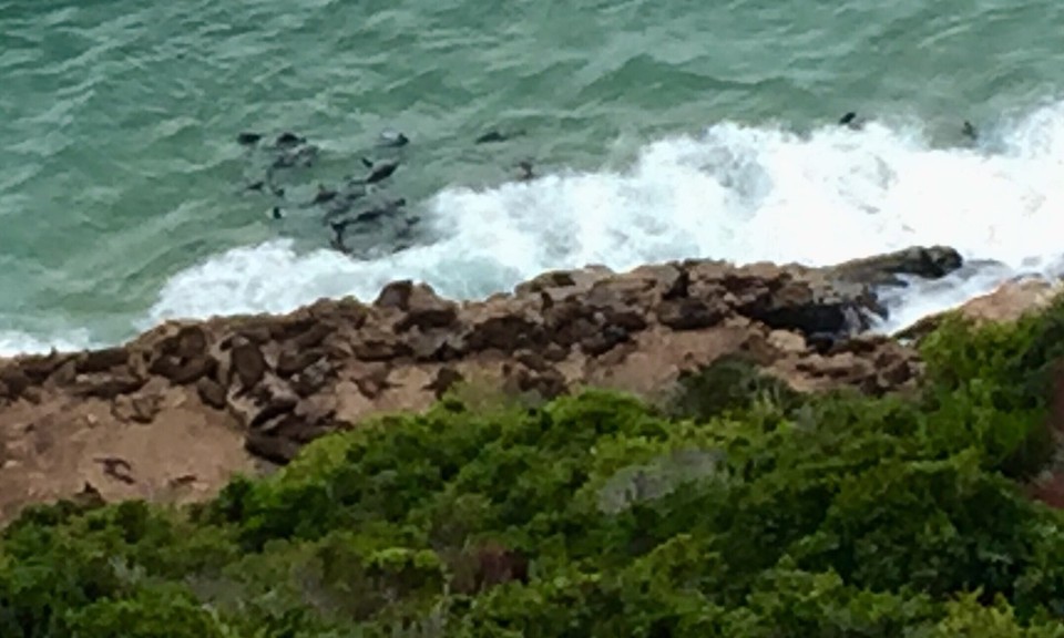  - Südafrika, Plettenberg Bay, 6600 - 