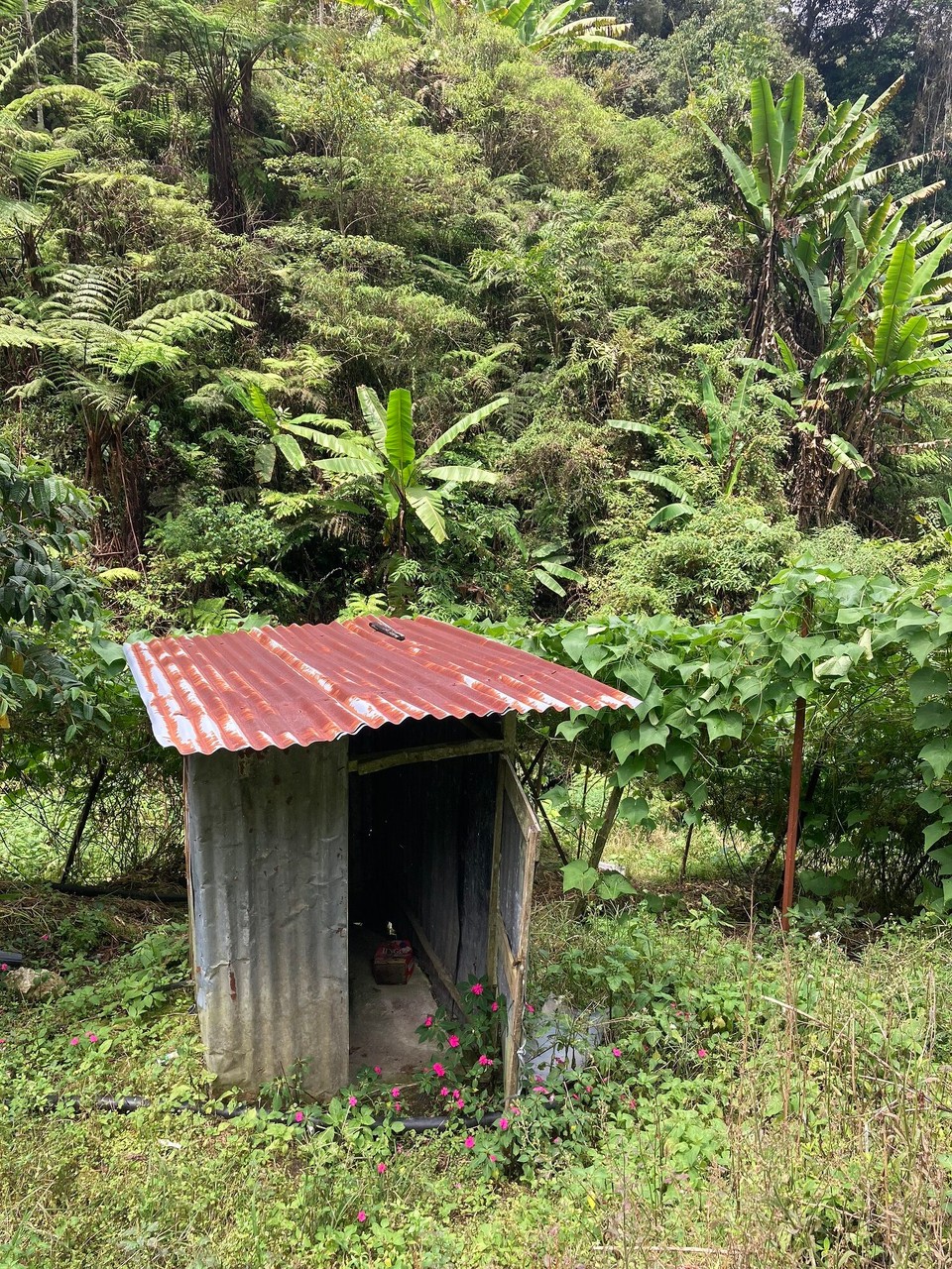 Malaysia - Tanah Rata - 