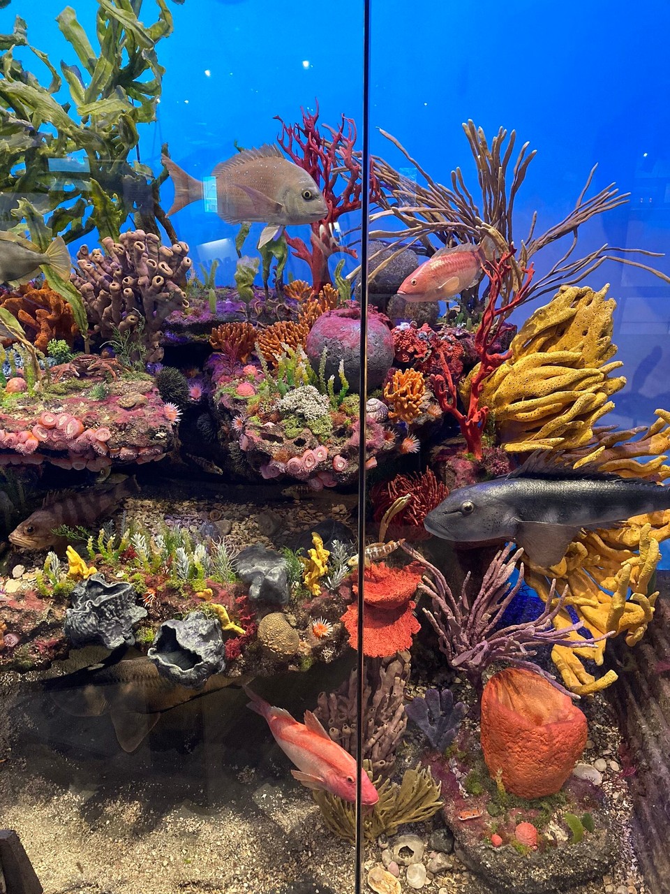 Neuseeland - New Plymouth - Puke Ariki Museum