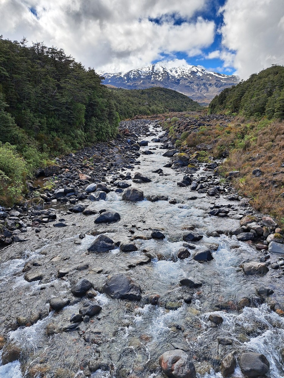 Neuseeland - National Park Village - Matschiger Weg 