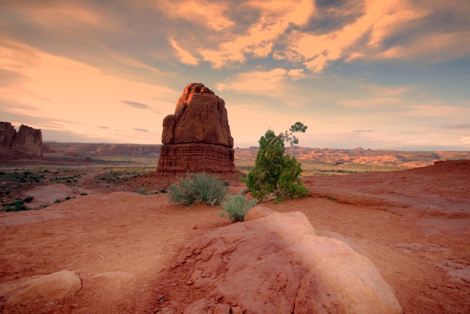USA - Arches-Nationalpark - 