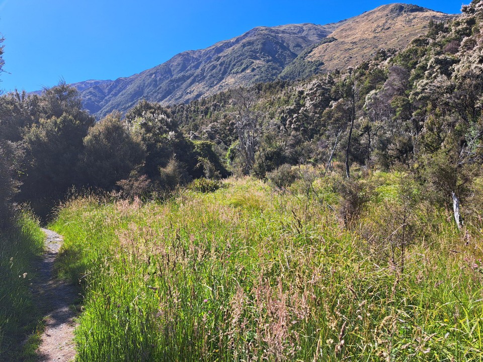 Neuseeland - Hanmer Springs - 