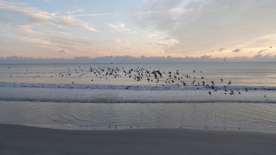 USA - Daytona Beach - Sonnenaufgang