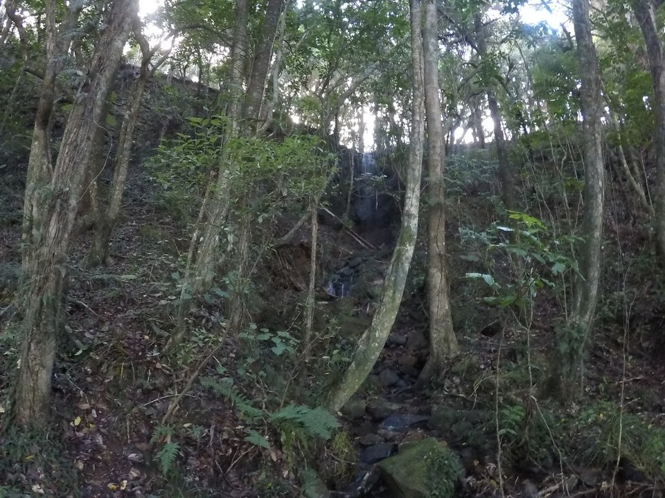Neuseeland - Kerikeri - 
