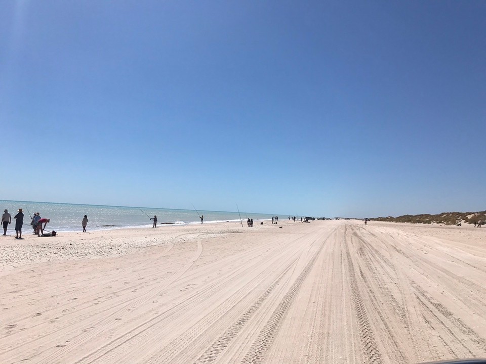  - Australia, Eighty Mile Beach - All the fisherpeeps