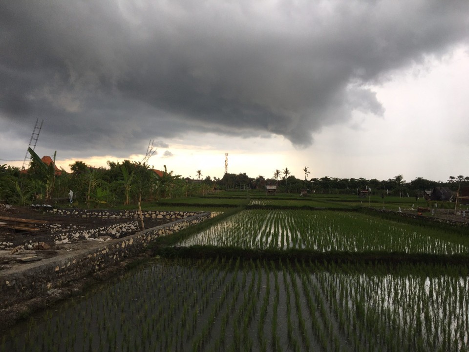 Indonesia - Seminyak - 