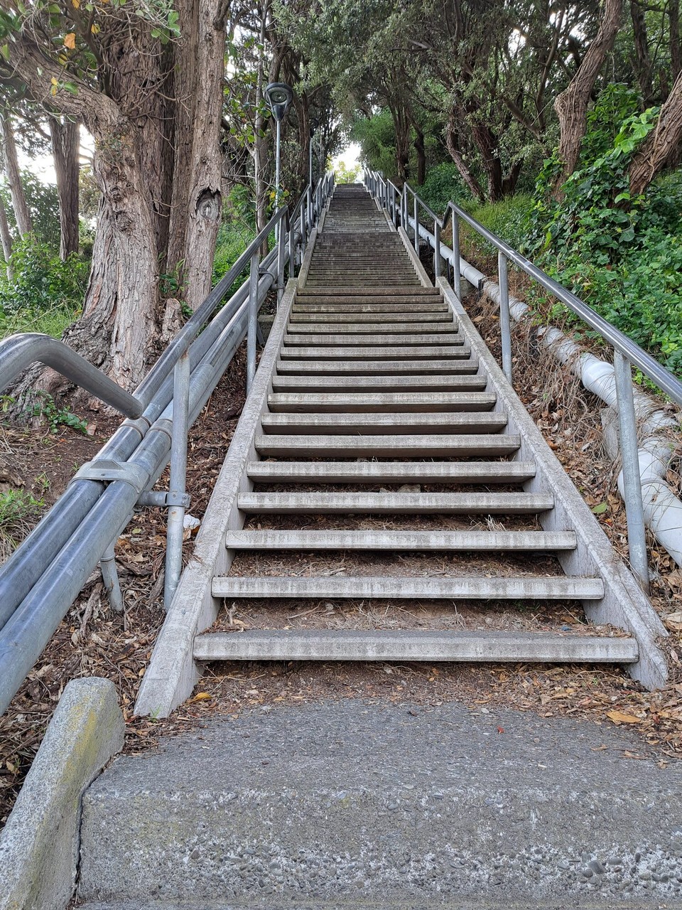Neuseeland - Koitiata - Am morgen schon Treppen hoch 😅