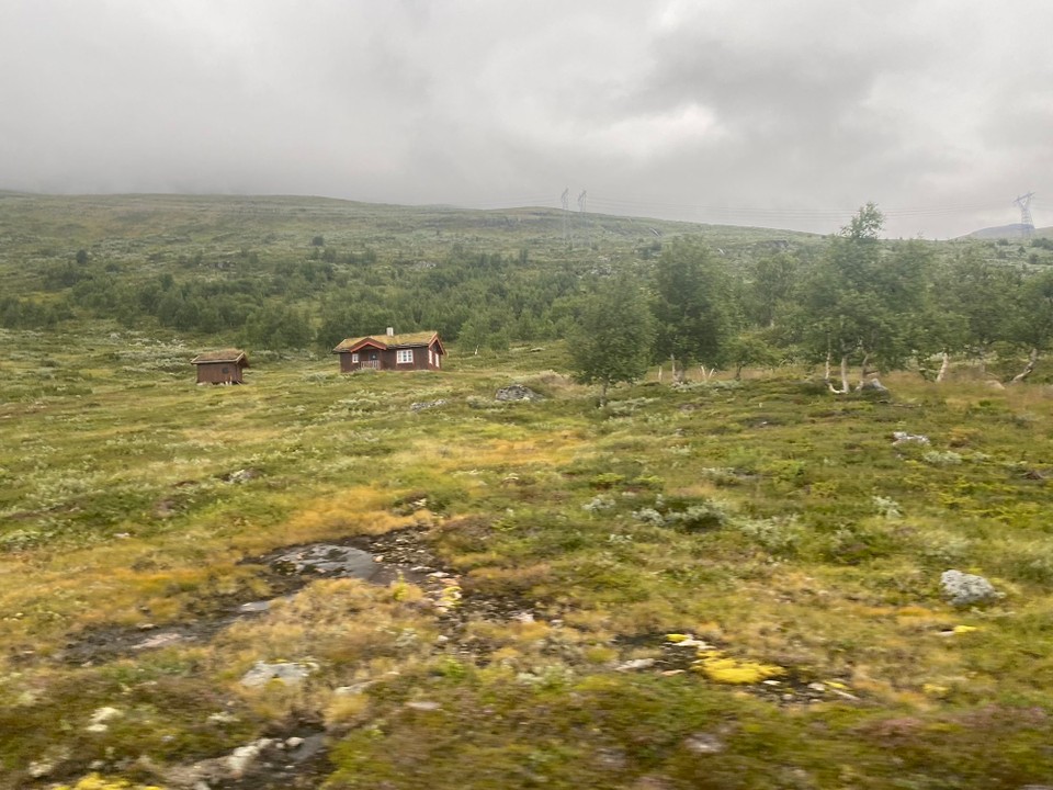 Norwegen - Steinklepp - Immer wieder schön, die Grüne Bedachung. 
