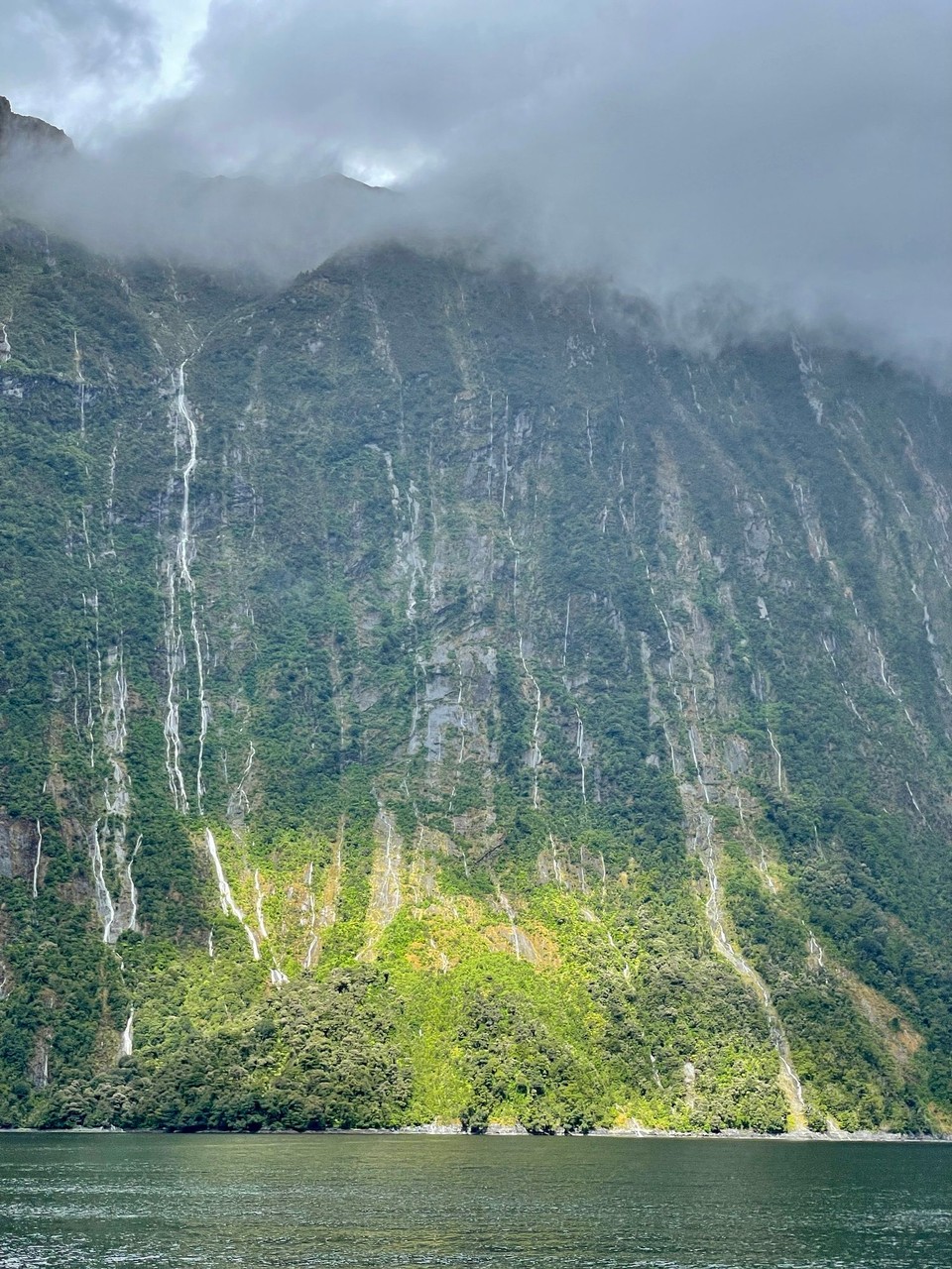 Neuseeland - Milford Sound - 