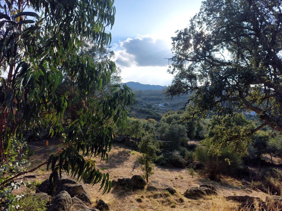 Portugal - Portalegre - Die Umgebung des Campingplatzes