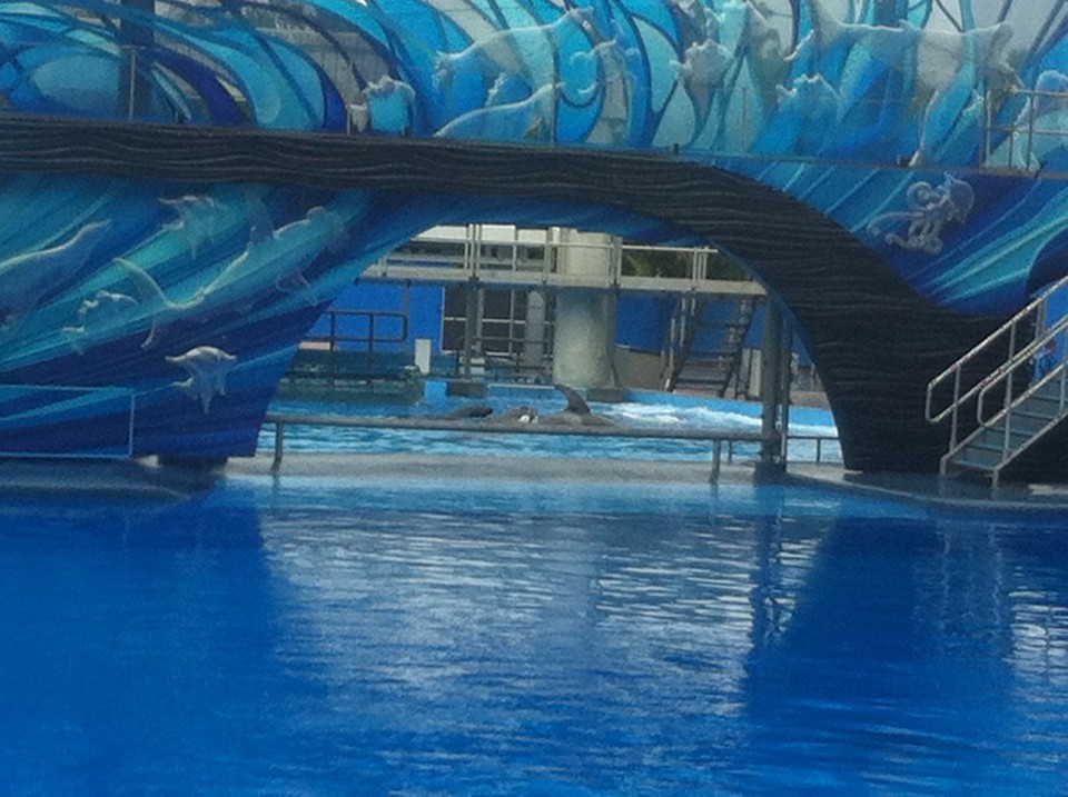 Egyesült Államok - Orlando - 