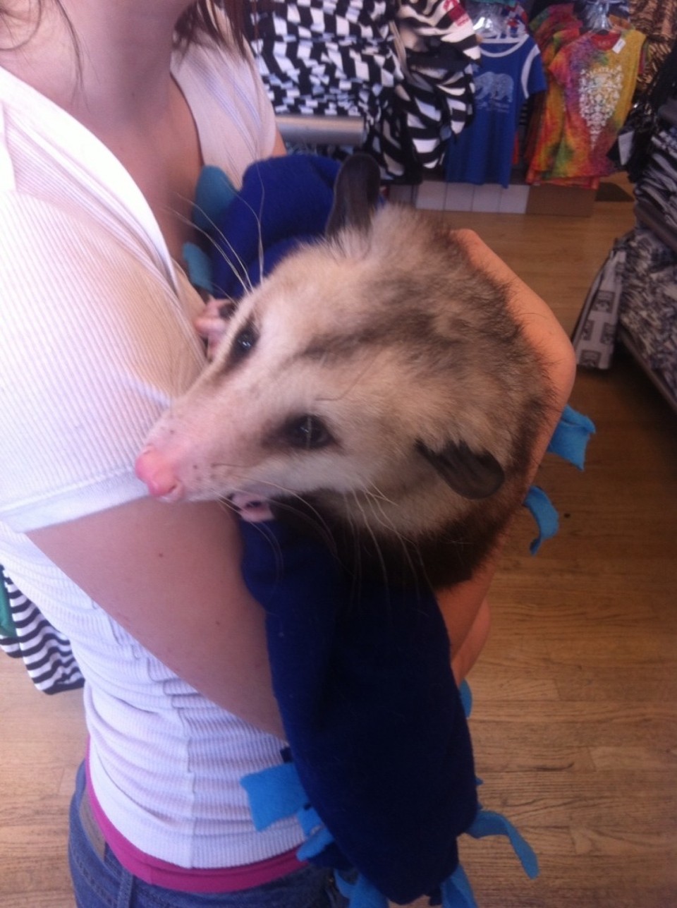 Egyesült Államok - San Francisco - 