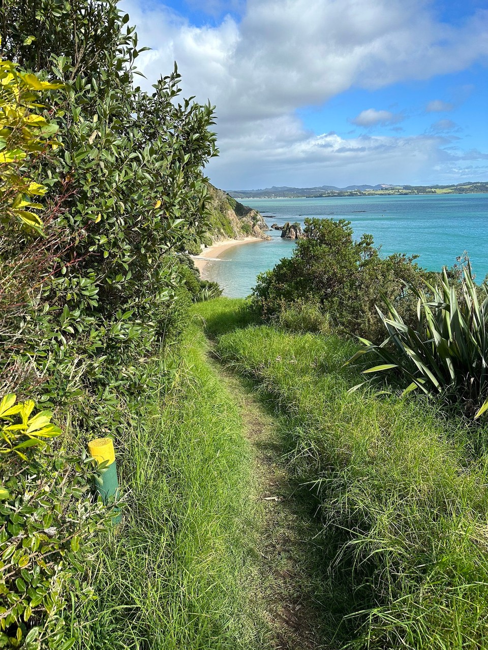 Neuseeland - Paihia - Da wandert man doch gerne bei solchen Aussichten 