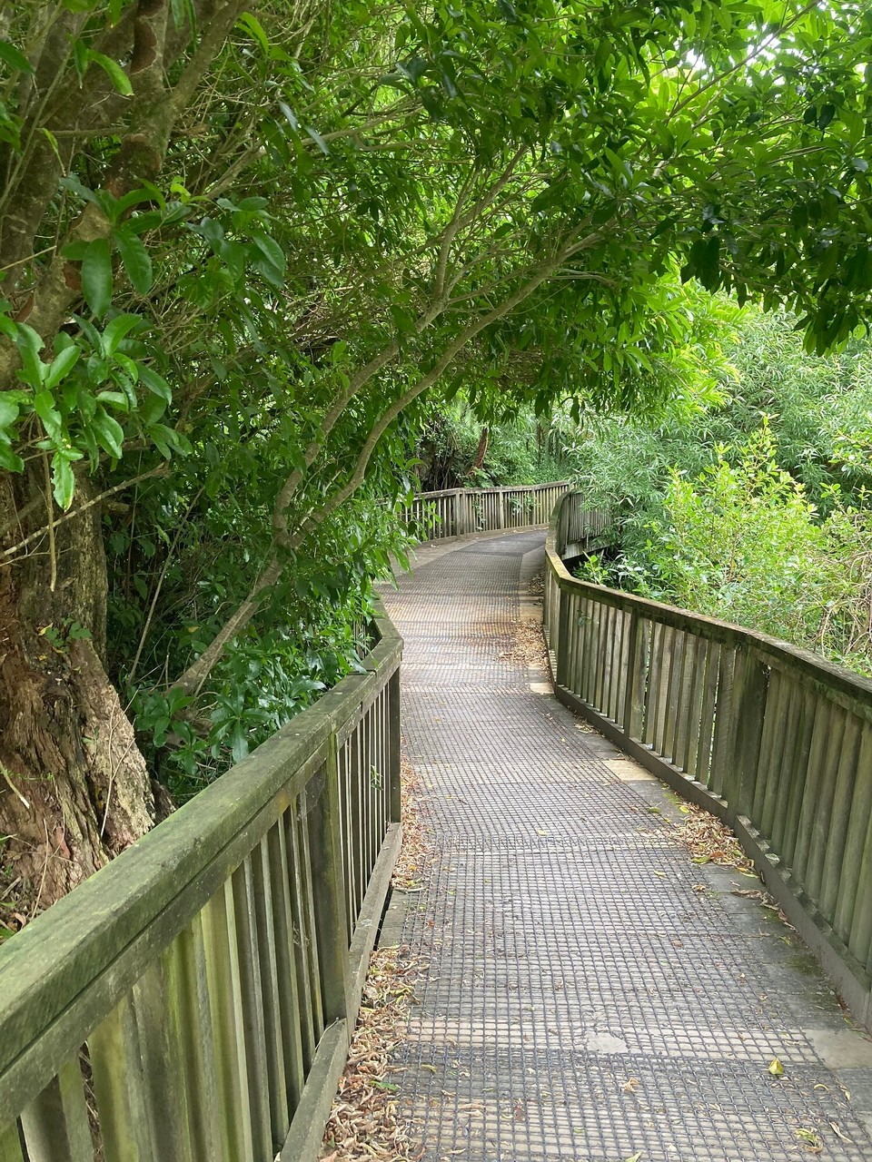 Neuseeland - Upper Hutt - 