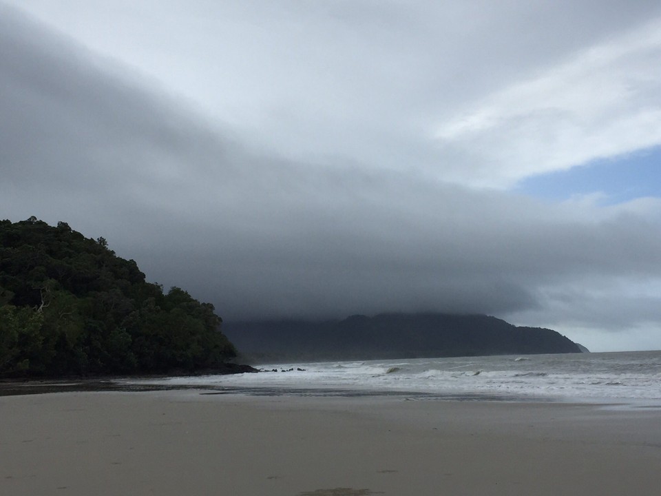 Australien - Cape Tribulation - 