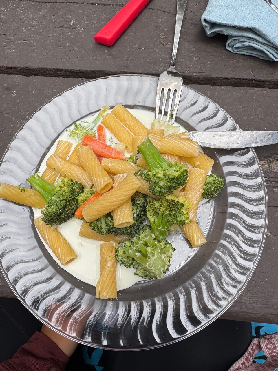 Vereinigte Staaten - Yellowstone National Park - Höt hets zum Znacht Gemüse-Teigware geh. Sind chli fad gsi, will mier ned so viel Gwürz hend aber susch sinds ned schlächt gsi.😅