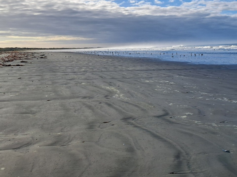 Neuseeland - Invercargill - 